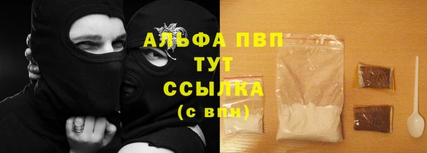 сатива Богородицк