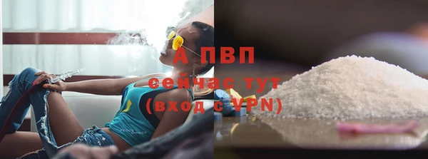 сатива Богородицк