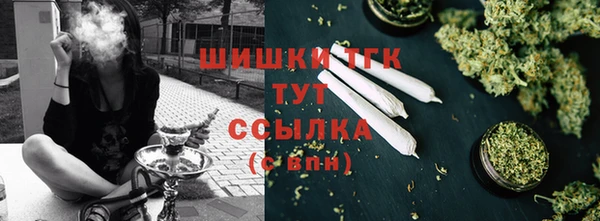 шишки Богданович