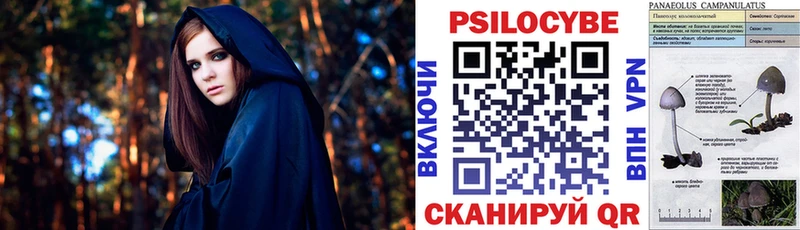 площадка как зайти  Яровое  Псилоцибиновые грибы MAGIC MUSHROOMS  даркнет сайт 
